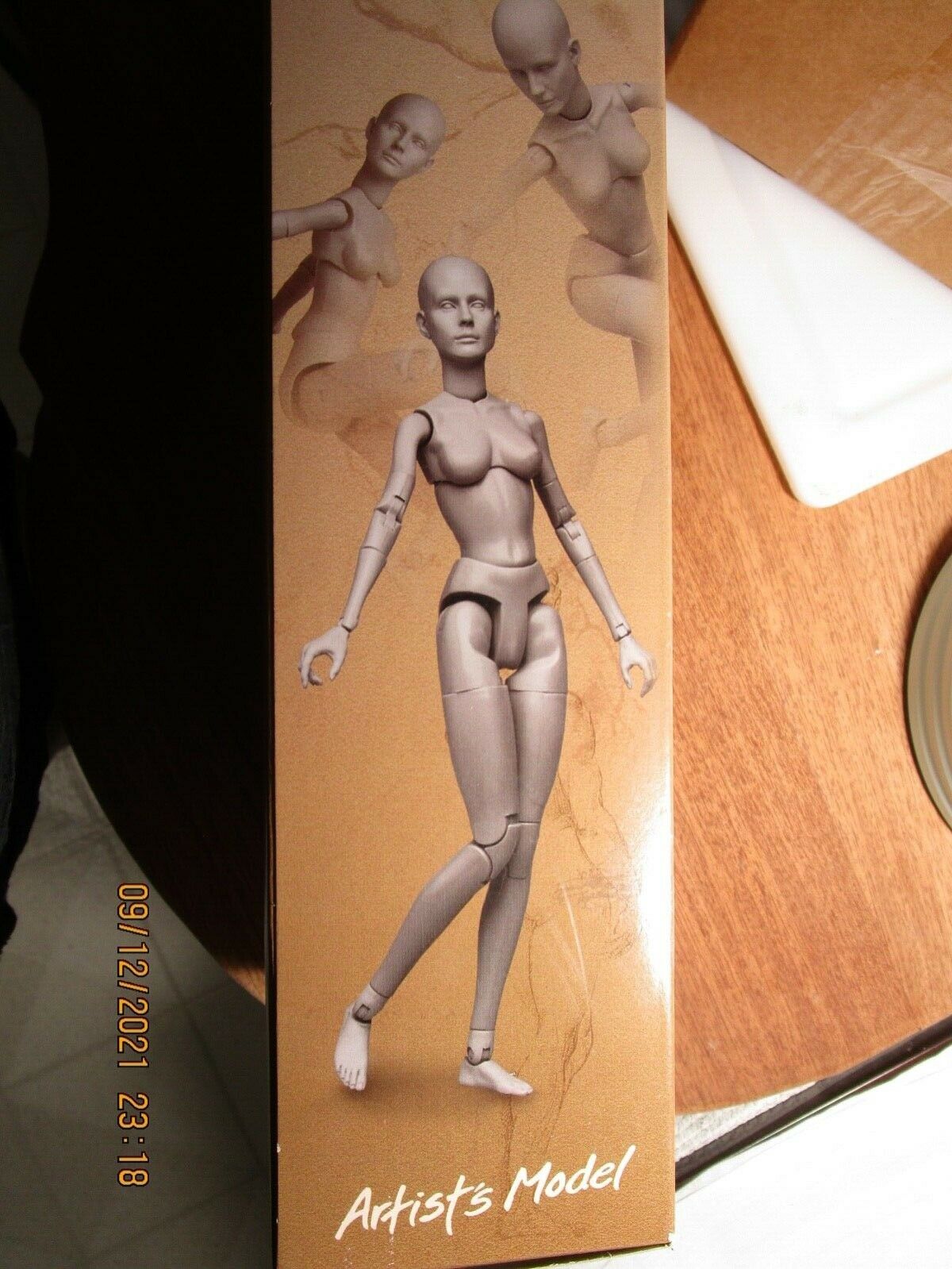 Drawing Model Female Articulated 11 Inch With Stand