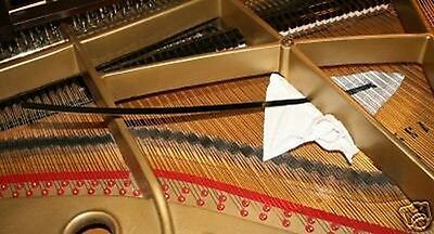 Grand Piano Soundboard Cleaner - Keep Piano Clean